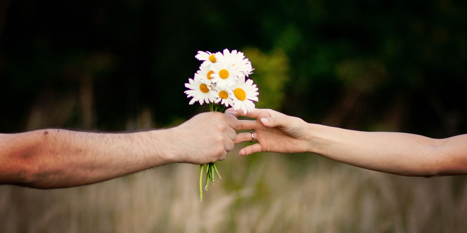 Hãy nghĩ đến một cục băng...